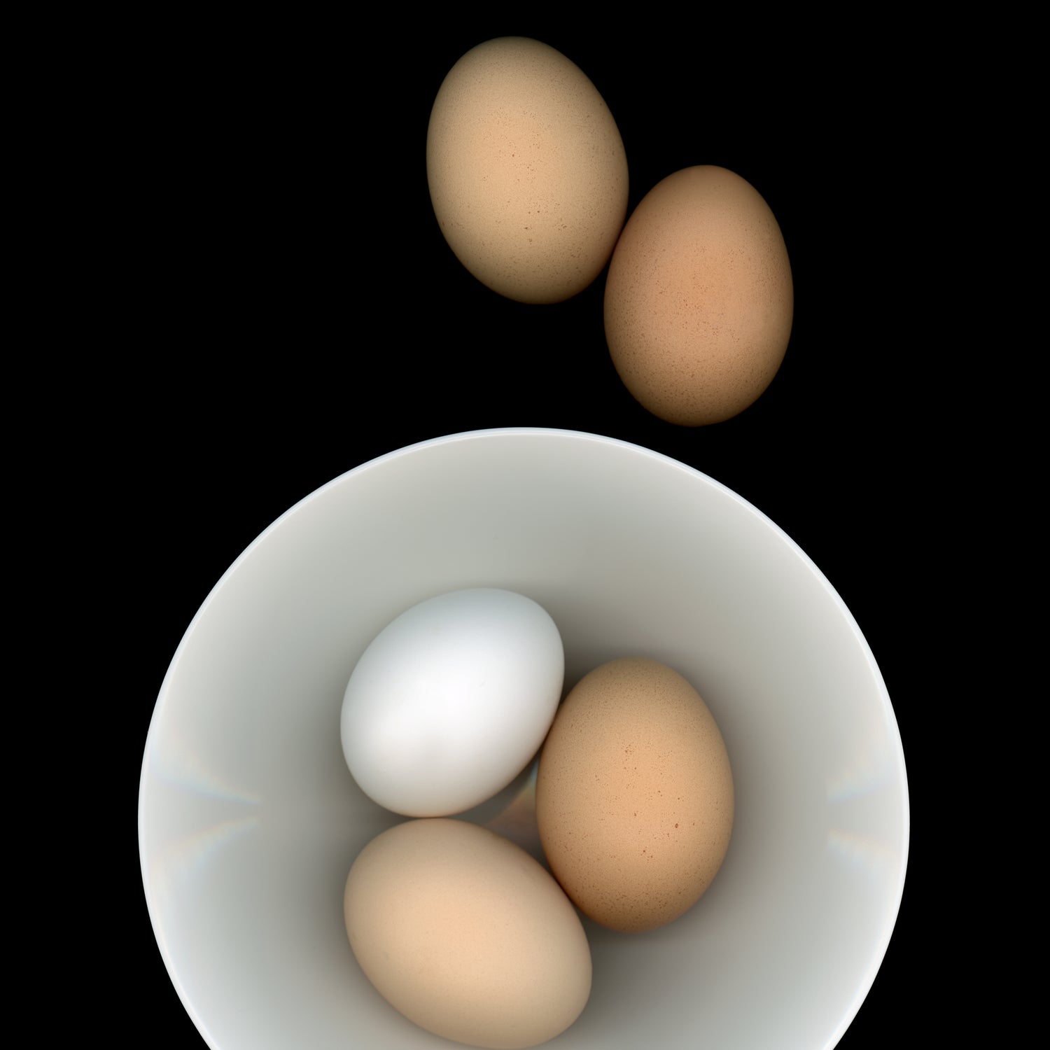 5 chicken eggs from white to brown in a bowl on a black background scanography oe-354