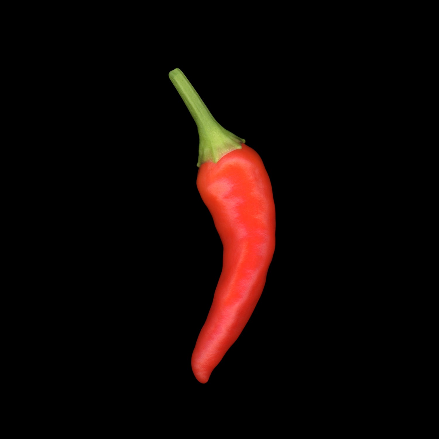 Cayenne hot pepper on a black background