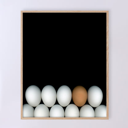 Two rows of white chicken eggs with one brown egg  on a black background. Open edition 8x10 inches print by Carmen Grenier. OE-354-1