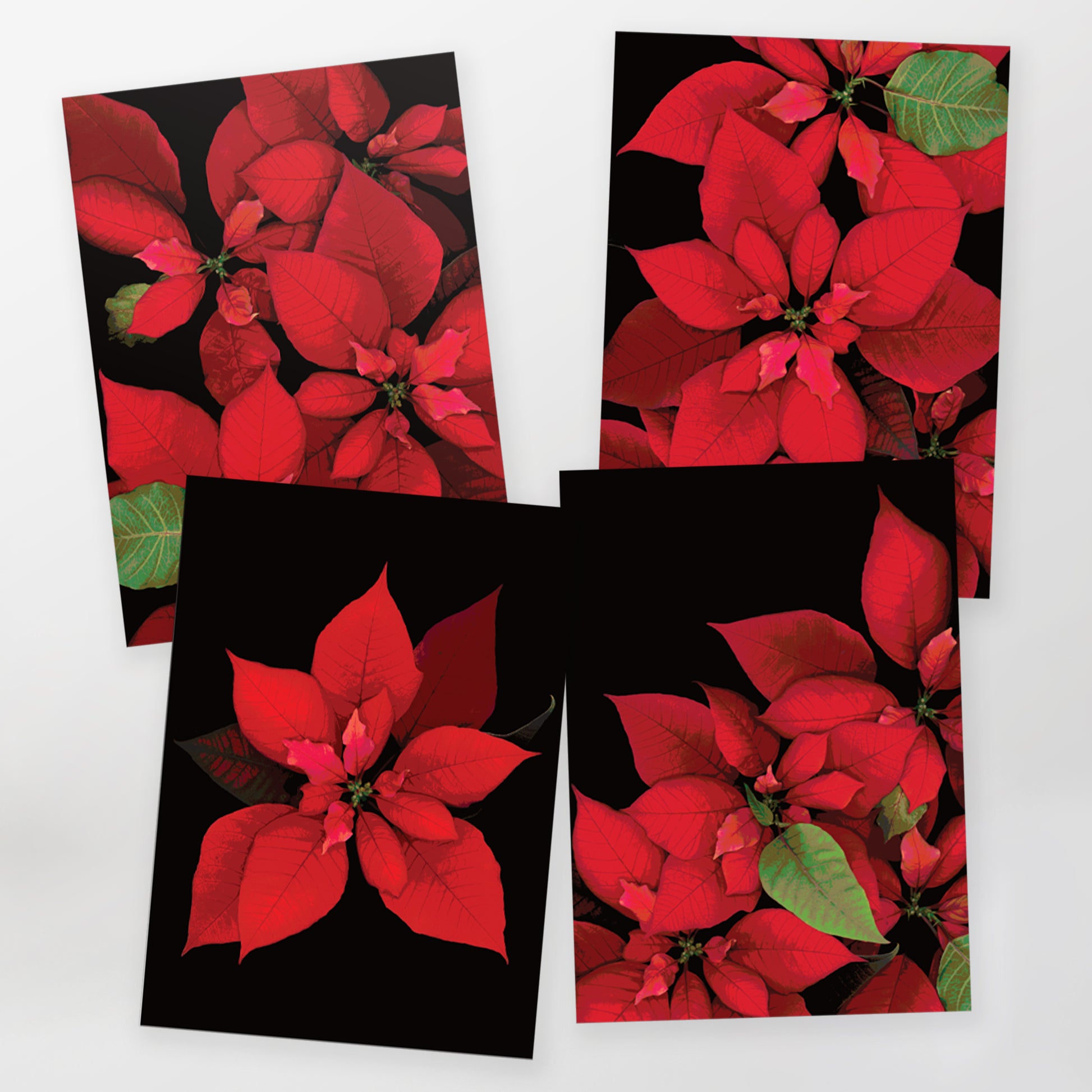 Set of four greeting cards of the Poinsettia  Series, GC-424