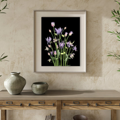 This fine art print features a bouquet of purple columbine flowers and chives in bloom on a black background. The print measures 11x14 inches and has the code OE-364-2. Hallway setting. The image was created using scanography by Carmen Grenier.