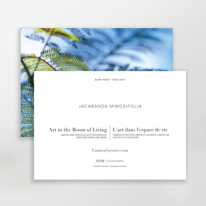 Jacaranda mimosifolia No. 2  | Greeting Cards