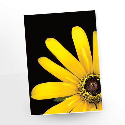 blank art card, close-up of a rudbeckia (black eye susan flower) on a black background, sku gc-401, scanography by carmen grenier