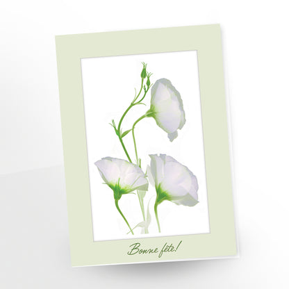 Bonne fête (French) greeting card - 3 white campanulas, blank inside, SKU number GC-217, CarmenGrenier.com