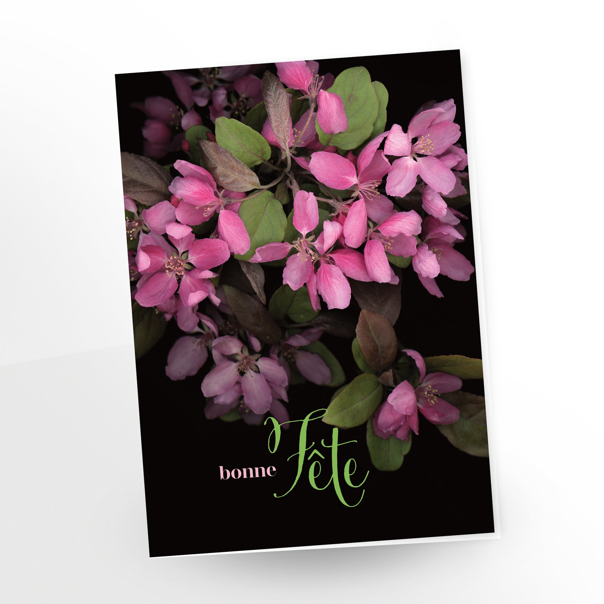 Bonne fête (French) greeting card, pink cheery blossoms on a black background. SKU number GC-258, CarmenGrenier.com