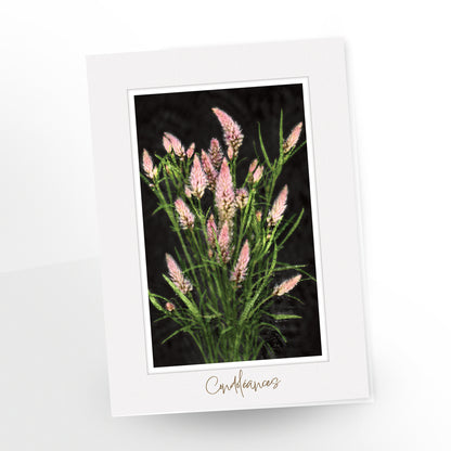 greeting card, condoléances, french, 5x7 inches, pink florals on a dark background, light grey frame, gc205, 