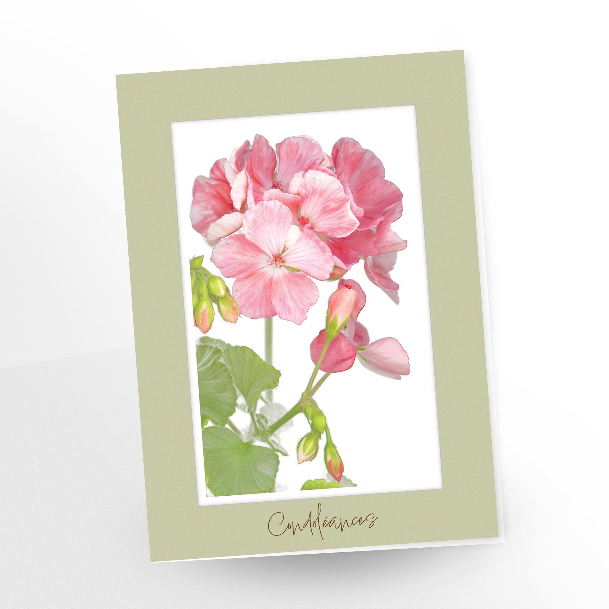 greeting card, sympathy, gc208, french, pink geranium, blank inside, sage-coloured border