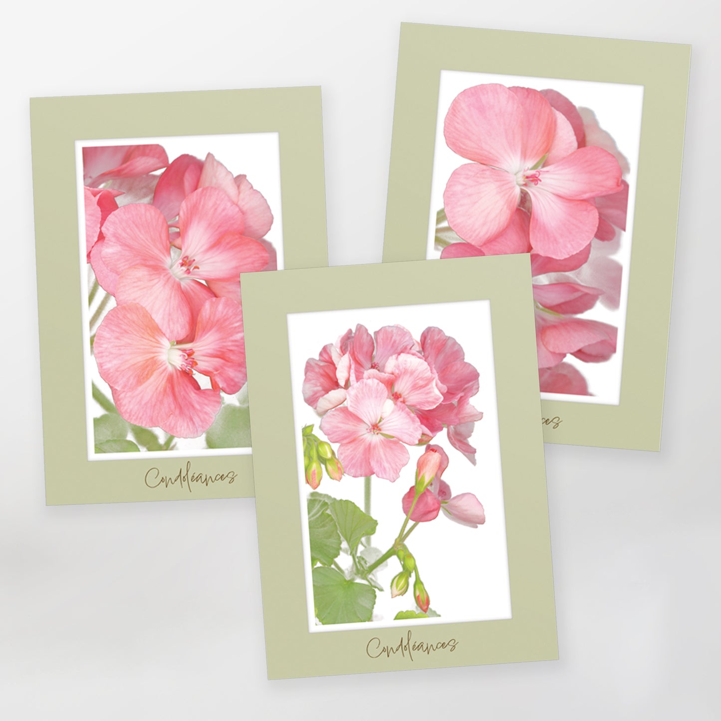 greeting card, sympathy, gc206-gc207-gc208, set of 3 cards, English, pink geranium, blank inside, sage-coloured border