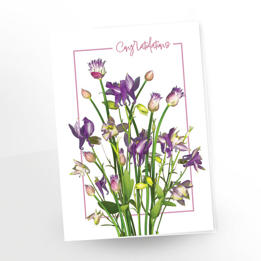 congratulations greeting cards, featuring cheerful columbines and chives bursting with vibrant colour. on a white background. sku gc-200