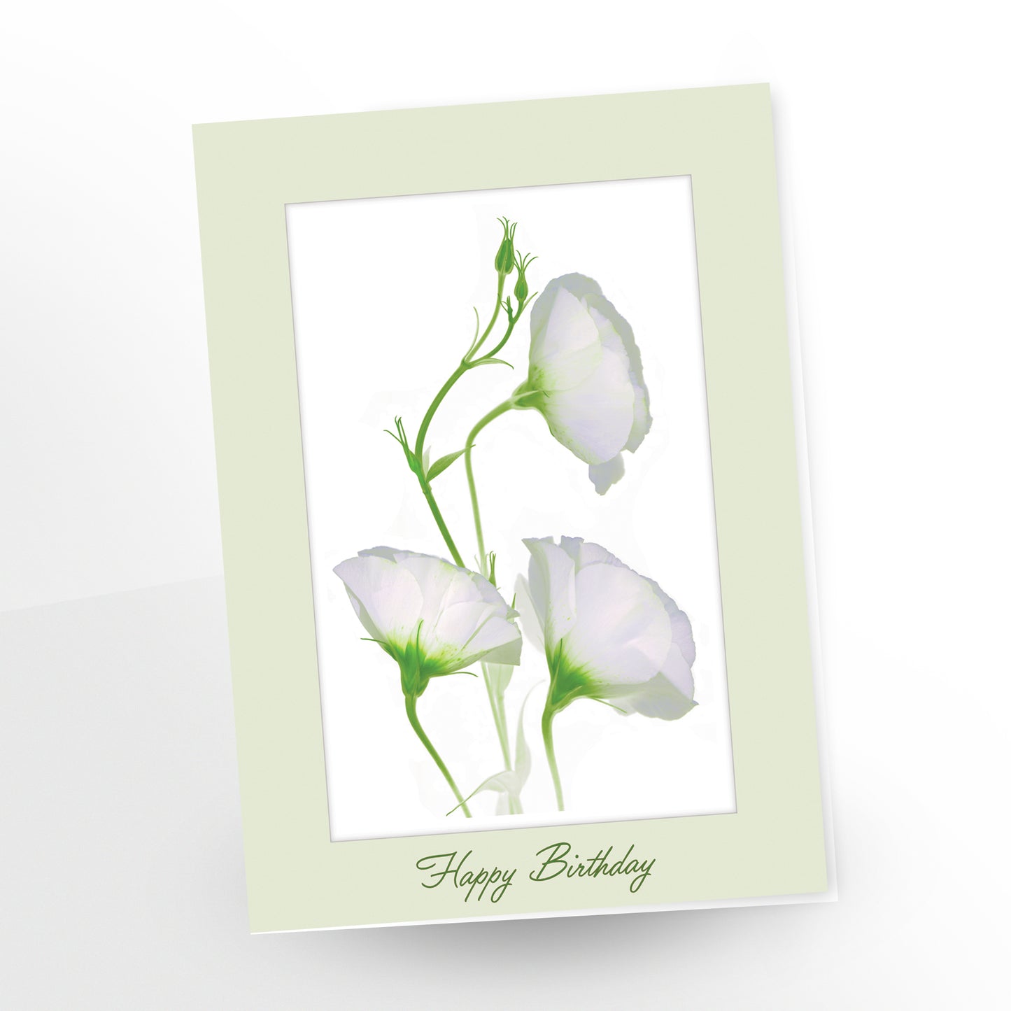 Happy birthday greeting card - 3 white campanulas, blank inside, SKU number GC-256, CarmenGrenier.com