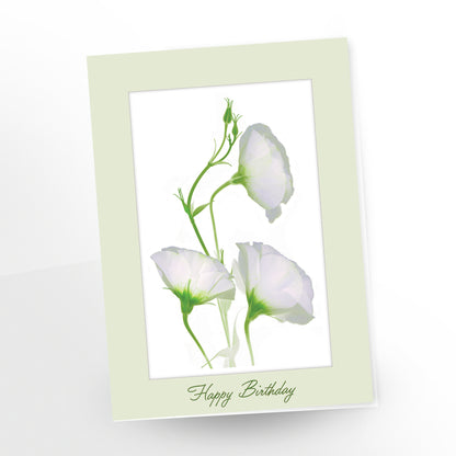 Happy birthday greeting card - 3 white campanulas, blank inside, SKU number GC-256, CarmenGrenier.com