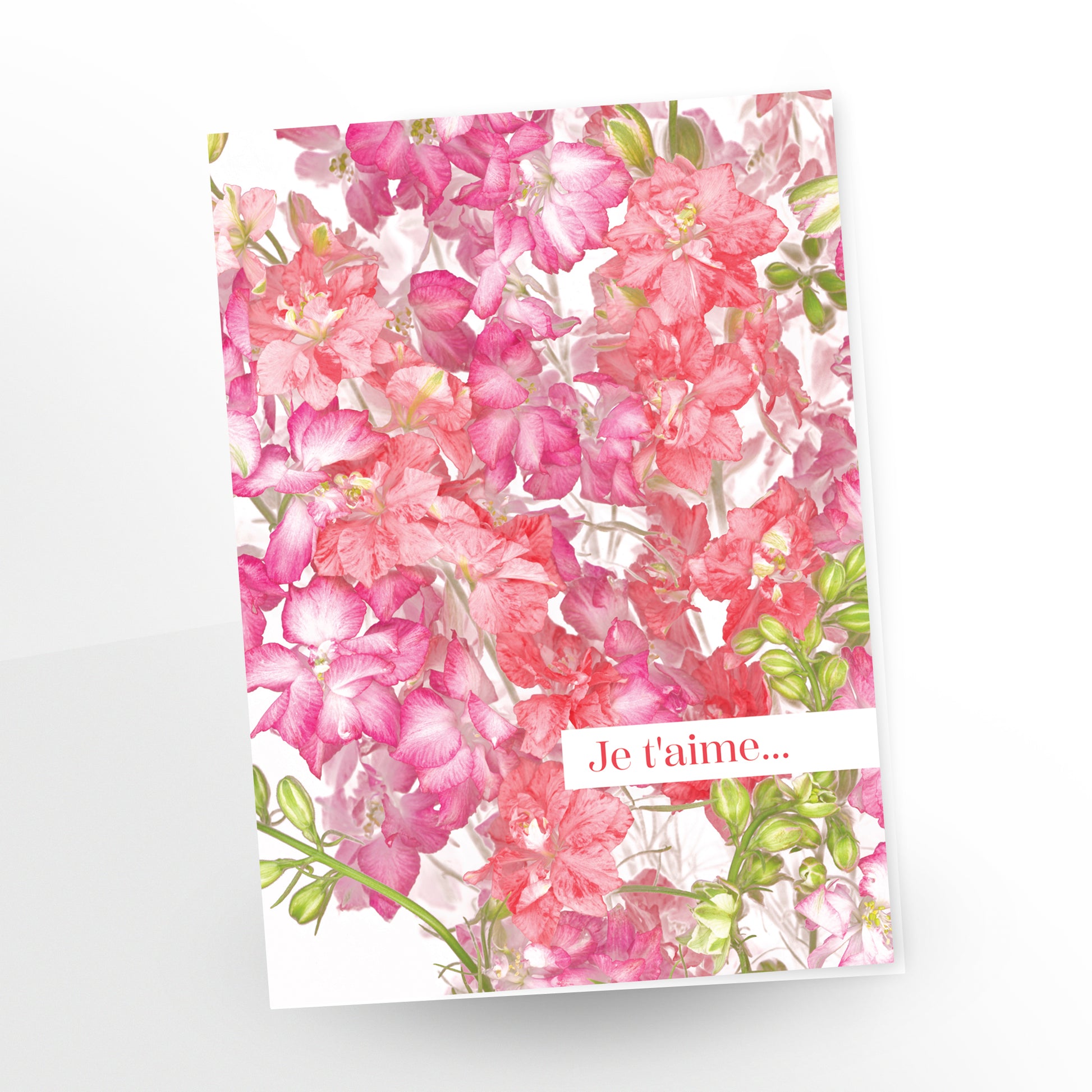 Je t'aime greeting card, pink and peach larkspur flowers on a white background, GC-250, French, CarmenGrenier.com 