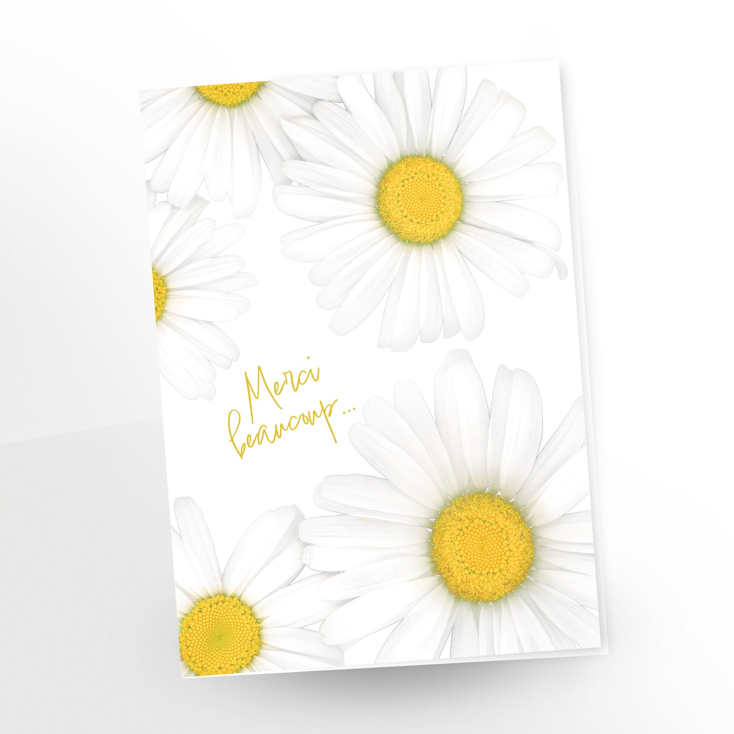 blank art greeting card, 5x7 inches, french, merci beaucoup, five shasta daisies, gc-413