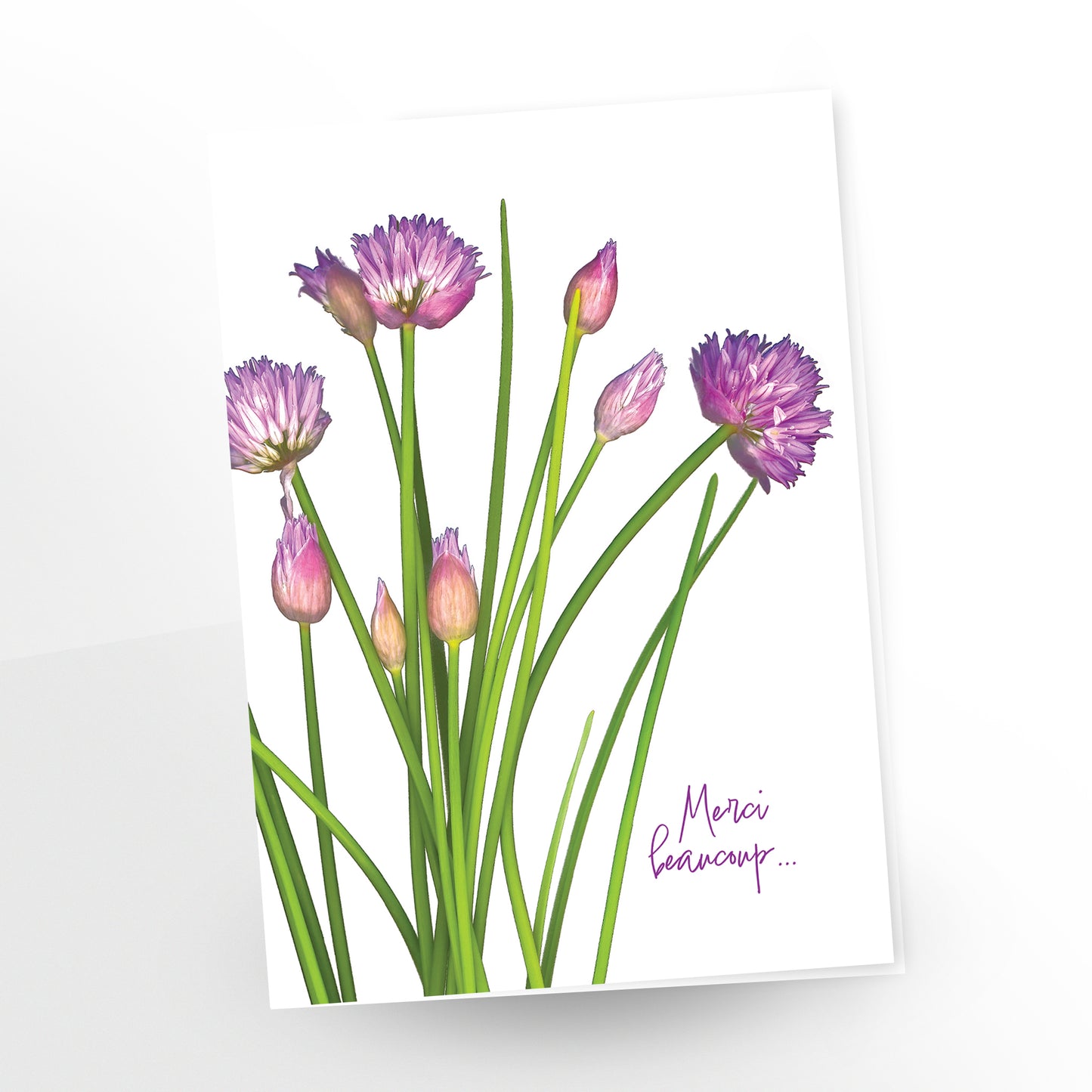 blank art greeting card, 5x7 inches, french, merci beaucoup, bouquet of chives in bloom, gc-409, carmengrenier.com