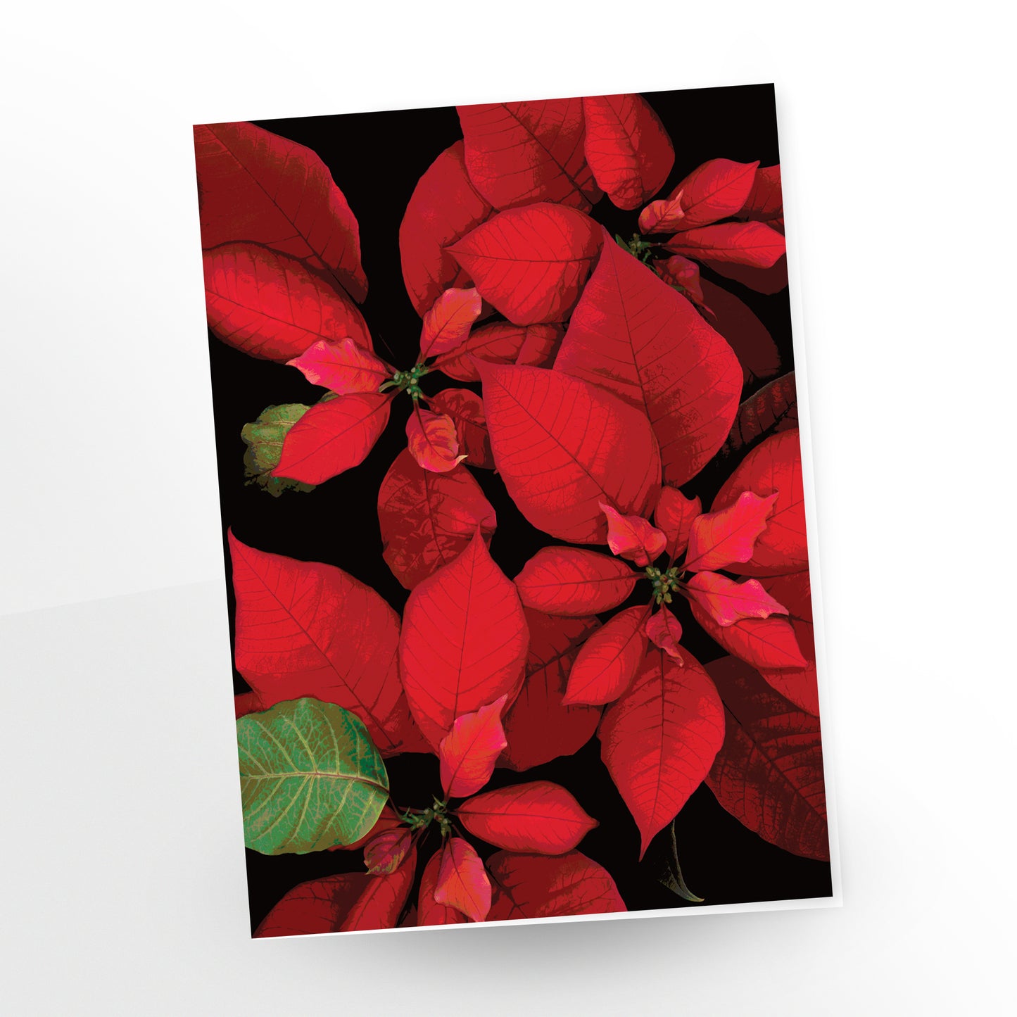 Poinsettia No. 129 | Greeting Cards