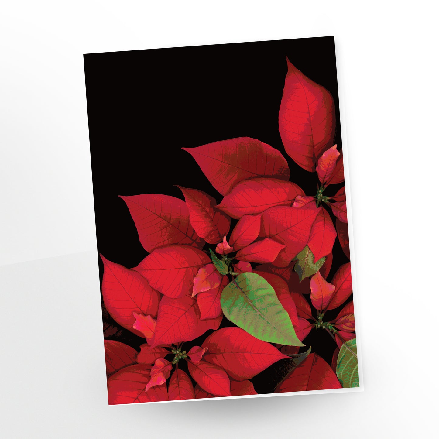 Poinsettia No. 130 | Greeting Cards