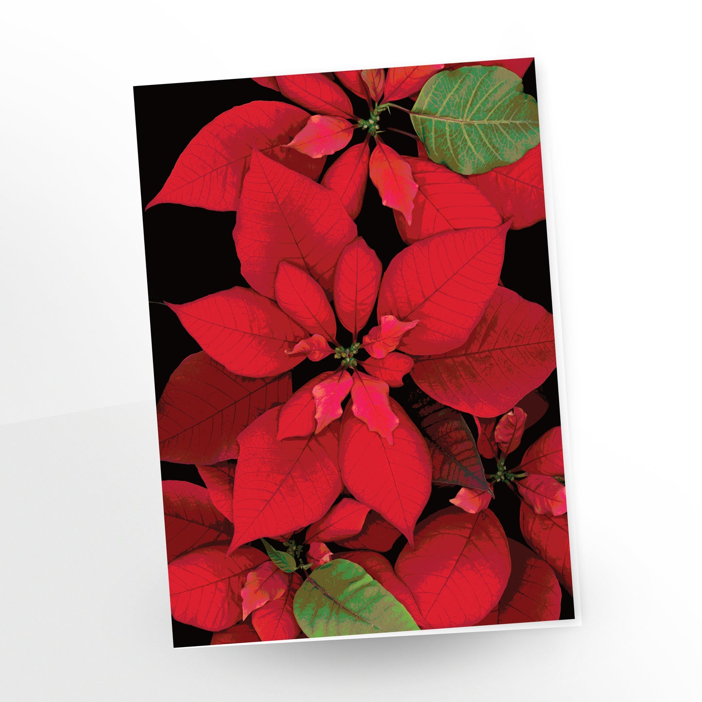 Poinsettia No. 102 | Greeting Cards