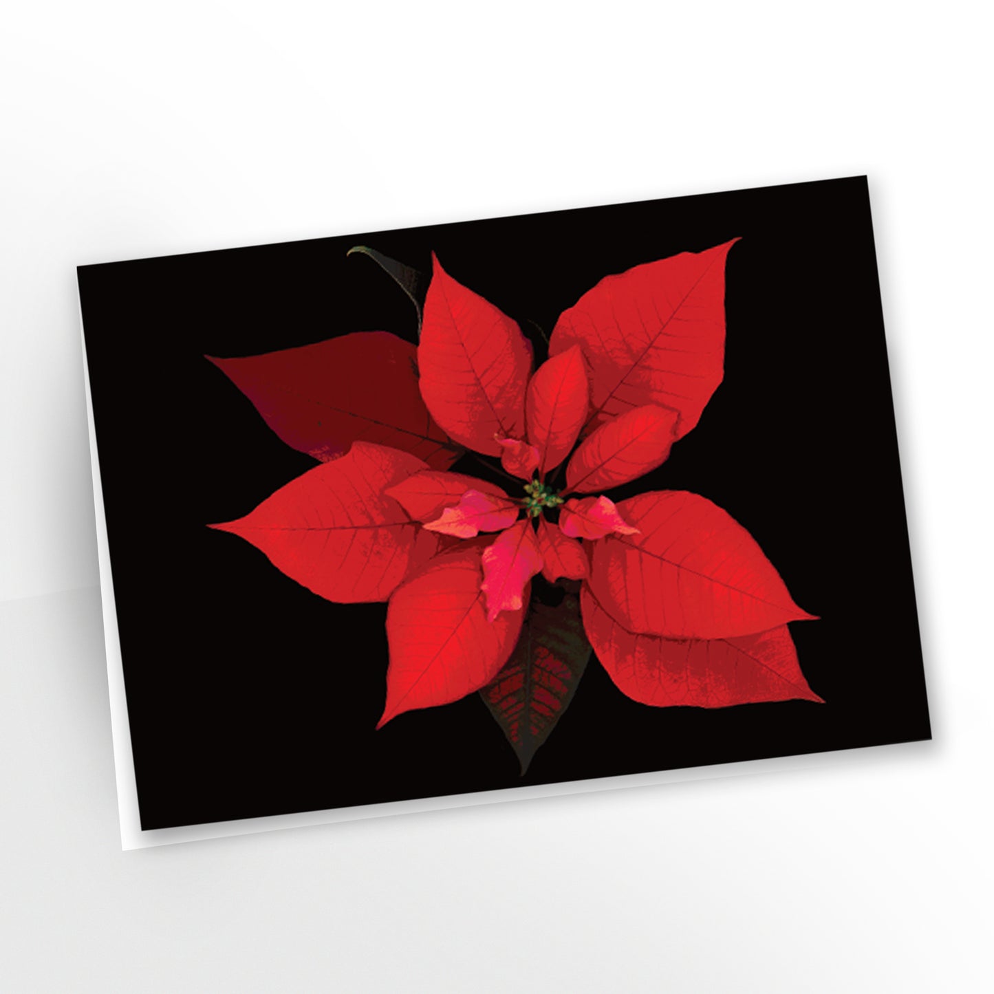 Poinsettia No. 132 | Greeting Cards