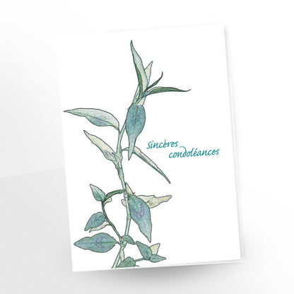 Greeting card, sincères condoléances, french, details of stem, green on white, gc212, carmengrenier.com