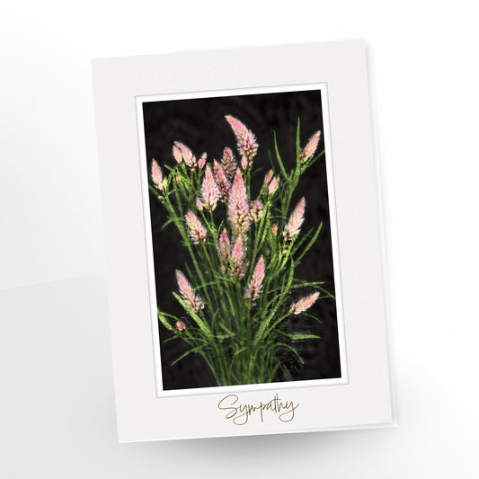 greeting card, sympathy, 5x7 inches, pink florals on a dark background, light grey frame, gc158, English