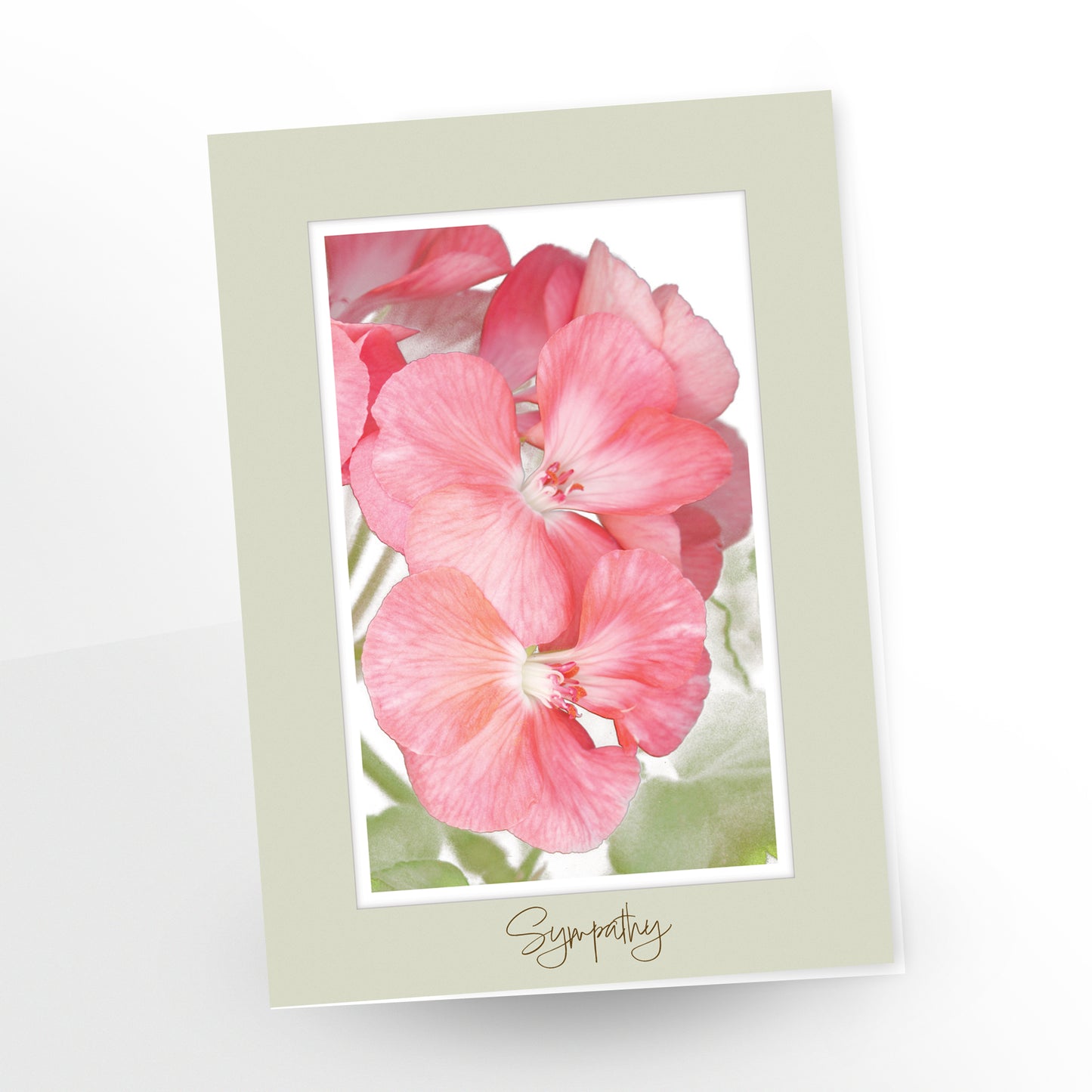 greeting card, sympathy, gc209, pink geranium, blank inside, english, sage-coloured border