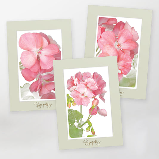 greeting card, sympathy, gc209-gc210-gc211, set of 3 cards, English, pink geranium, blank inside, sage-coloured border