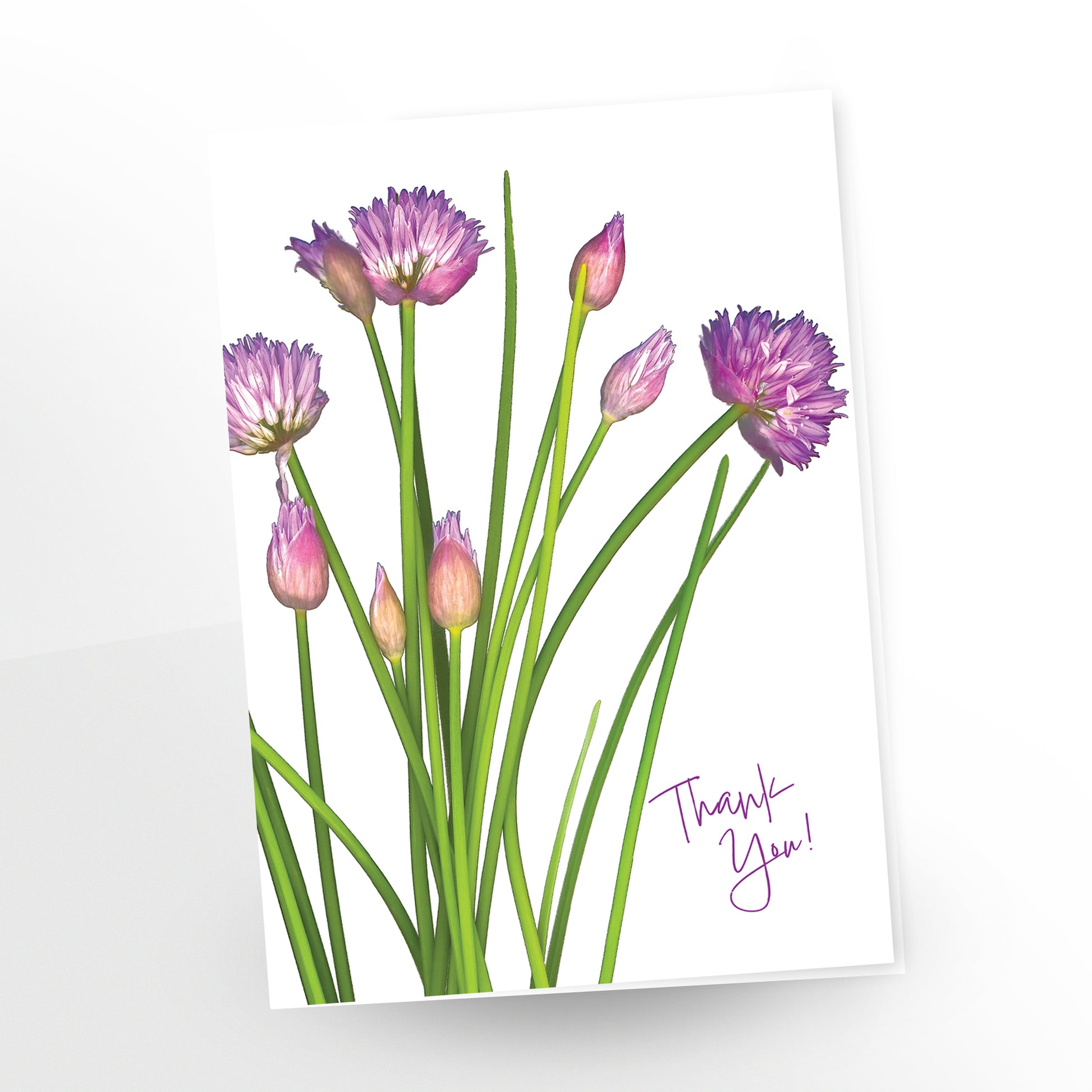 blank art greeting card, 5x7 inches, english, thank you, bouquet of chives in bloom, gc-410, carmengrenier.com