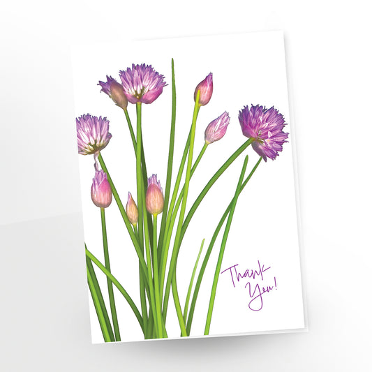 blank art greeting card, 5x7 inches, english, thank you, bouquet of chives in bloom, gc-410, carmengrenier.com