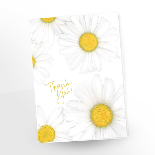 blank art greeting card, 5x7 inches, English, thank you, shasta daisy, gc-412