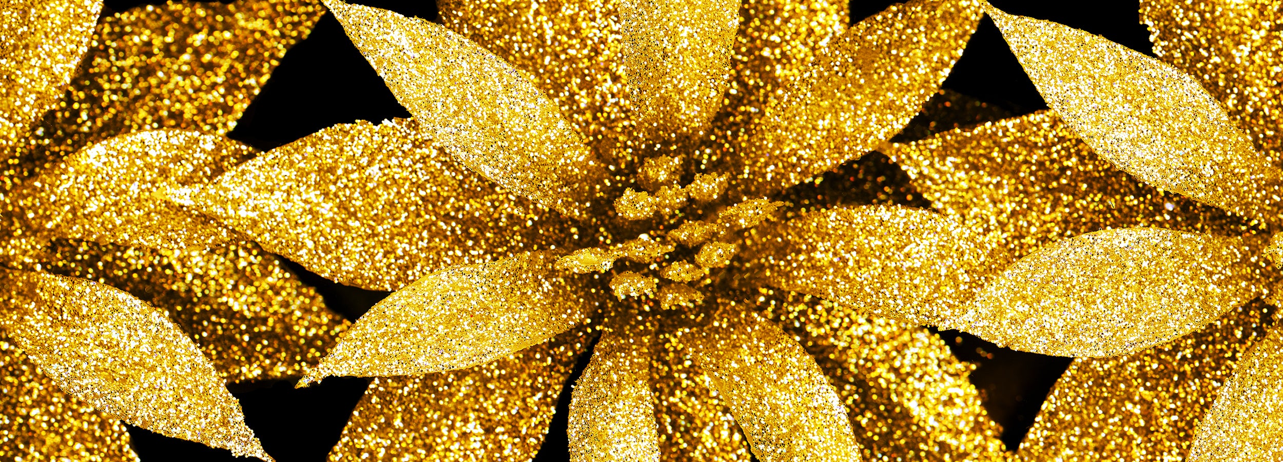 poinsettia christmas gold greeting cards