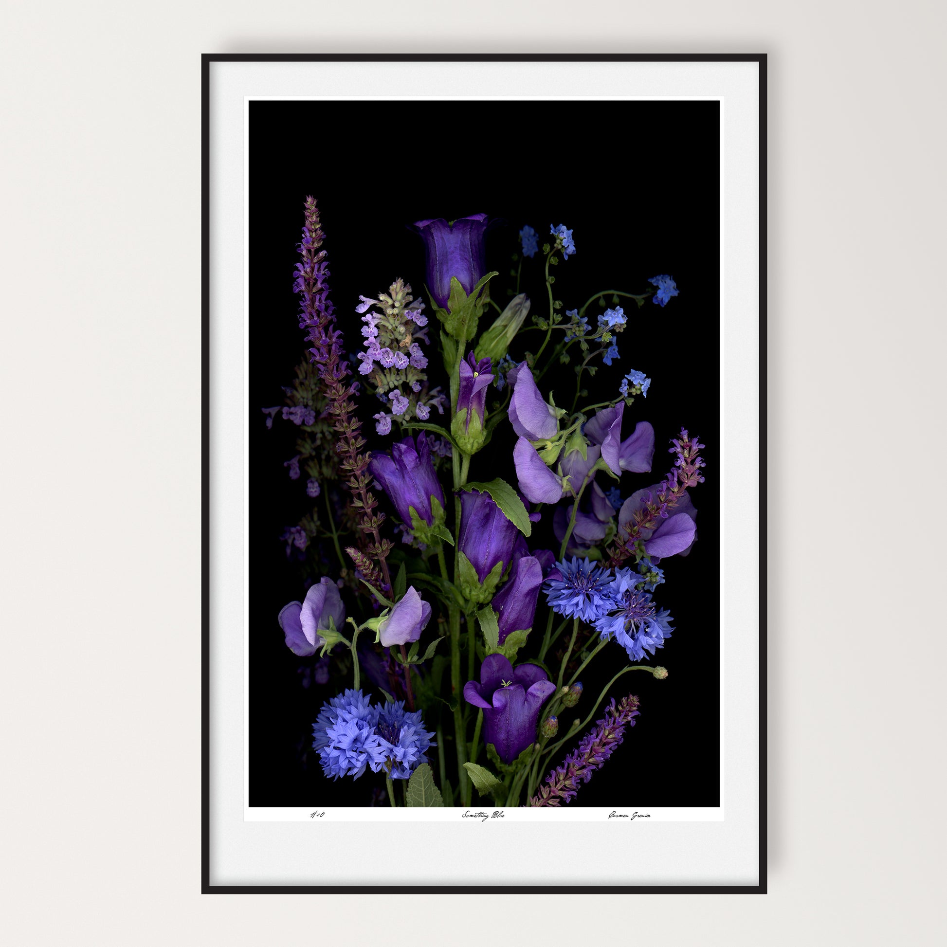 a refined composition of blue and purple flowers on a black background, limited edition print 24x36 inches, led-700 by carmen grenier