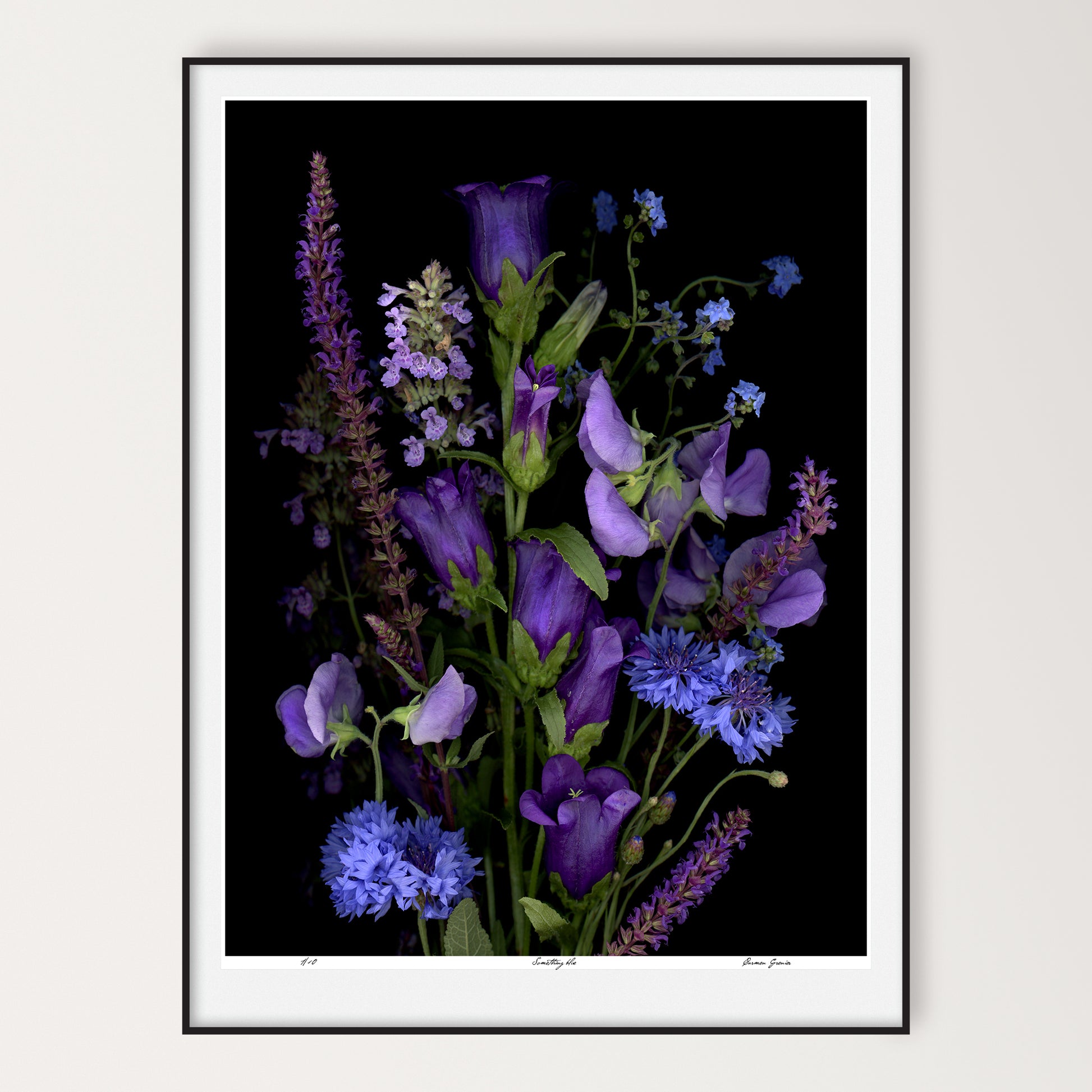 a refined composition of blue and purple flowers on a black background, limited edition print 36x48 inches, led-700 by carmen grenier