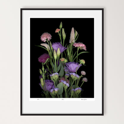 bouquet of amaranth, blue bells, tulip gentian, wavyleaf sea lavender and morningbride flowers on a black background, 16x20 limited edition print, sku: led-703-varuna