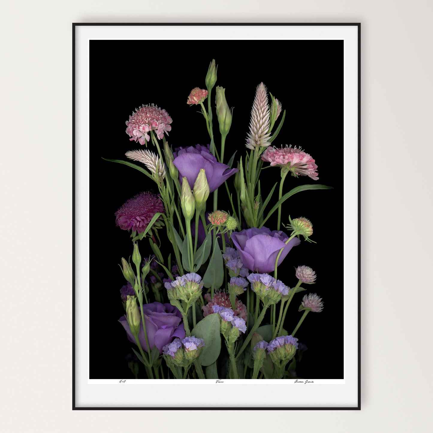 bouquet of amaranth, blue bells, tulip gentian, wavyleaf sea lavender and morningbride flowers on a black background, 36x48 limited edition print, sku: led-703-varuna