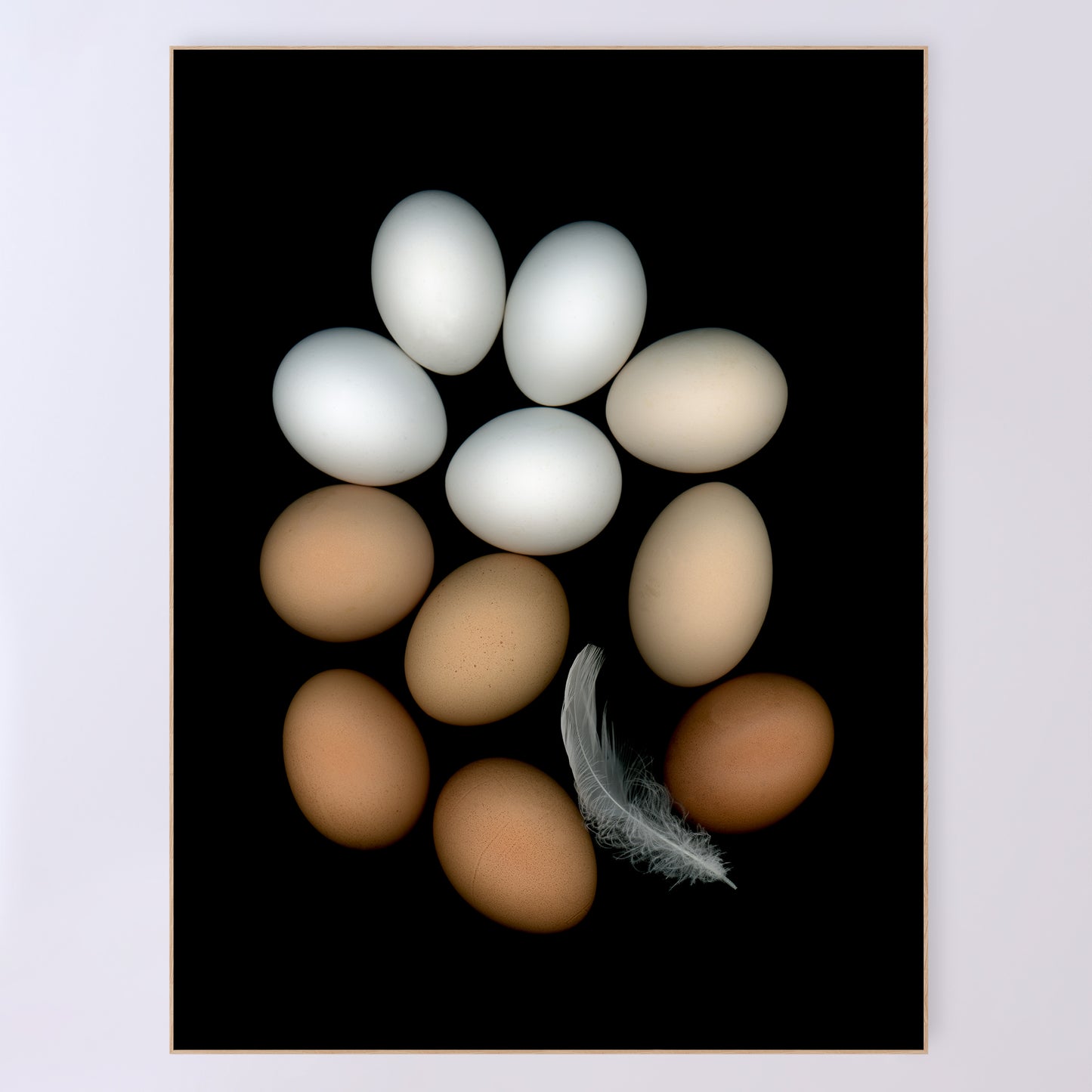 Egg | Light as a Feather | Open Edition Prints