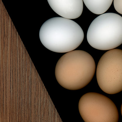 Egg | Light as a Feather | Open Edition Prints