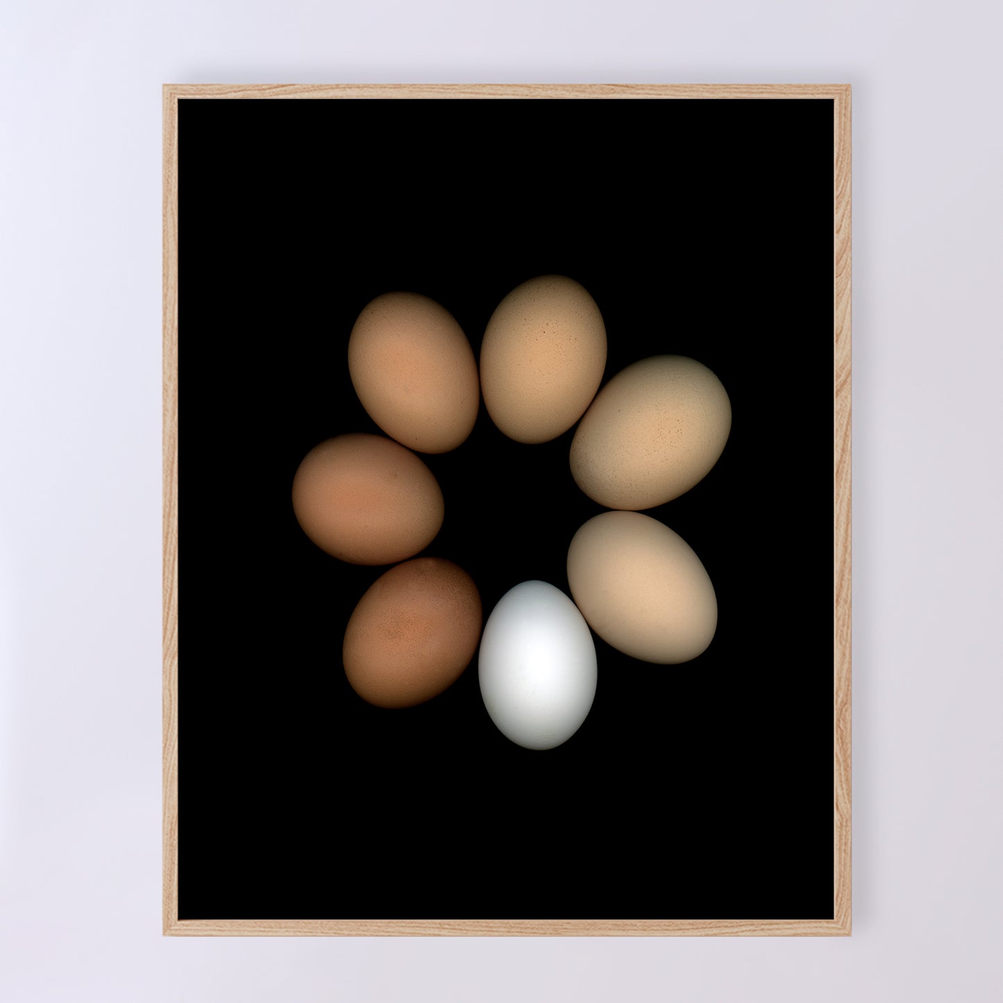 A circle of chicken eggs in an array of colours of pure white to deep brown and muted beige on a black background, 8x10 inches prints, OE-351-1, by CarmenGrenier.com