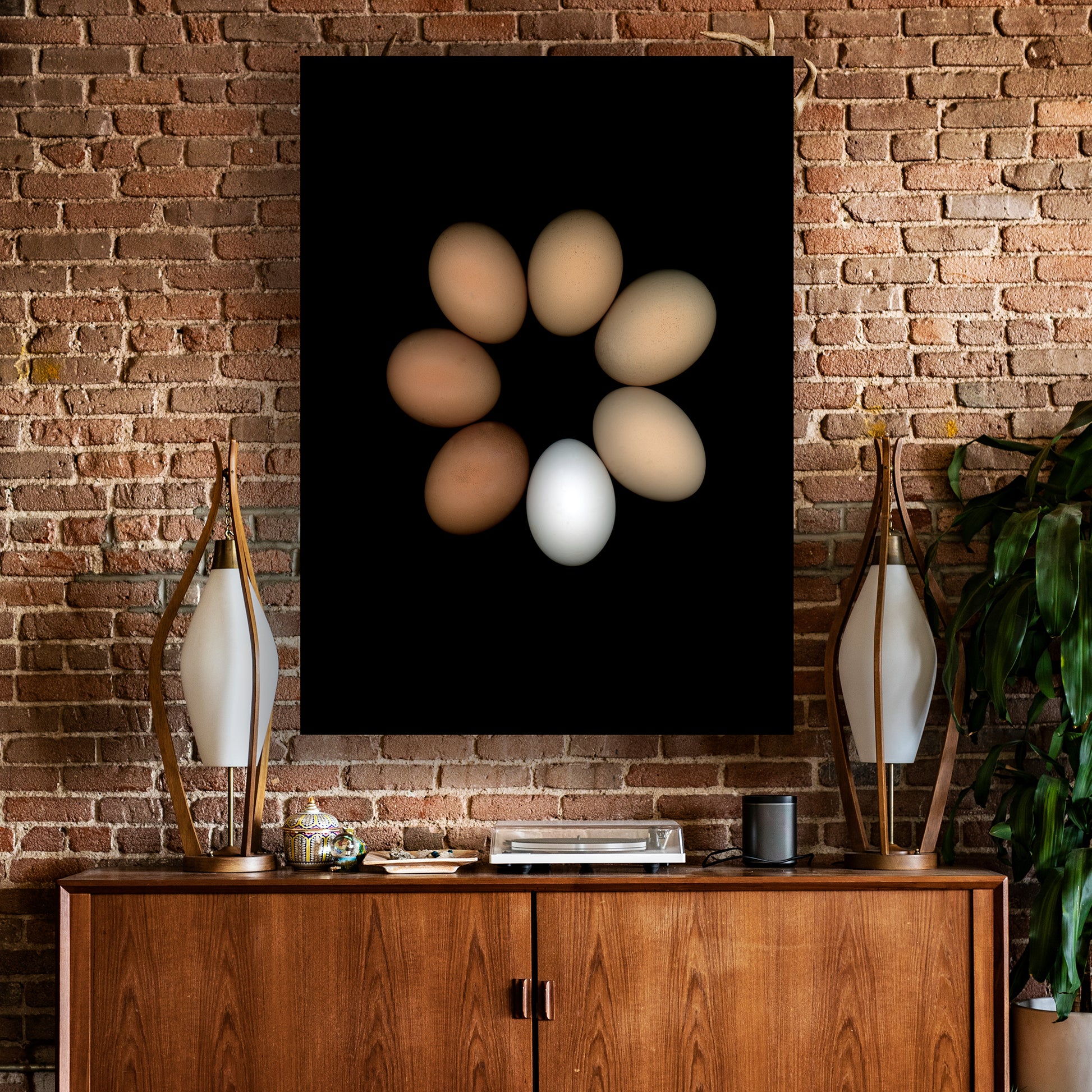 A circle of chicken eggs in an array of colours of pure white to deep brown and muted beige on a black background, 8x10 inches prints, OE-351-1, by CarmenGrenier.com