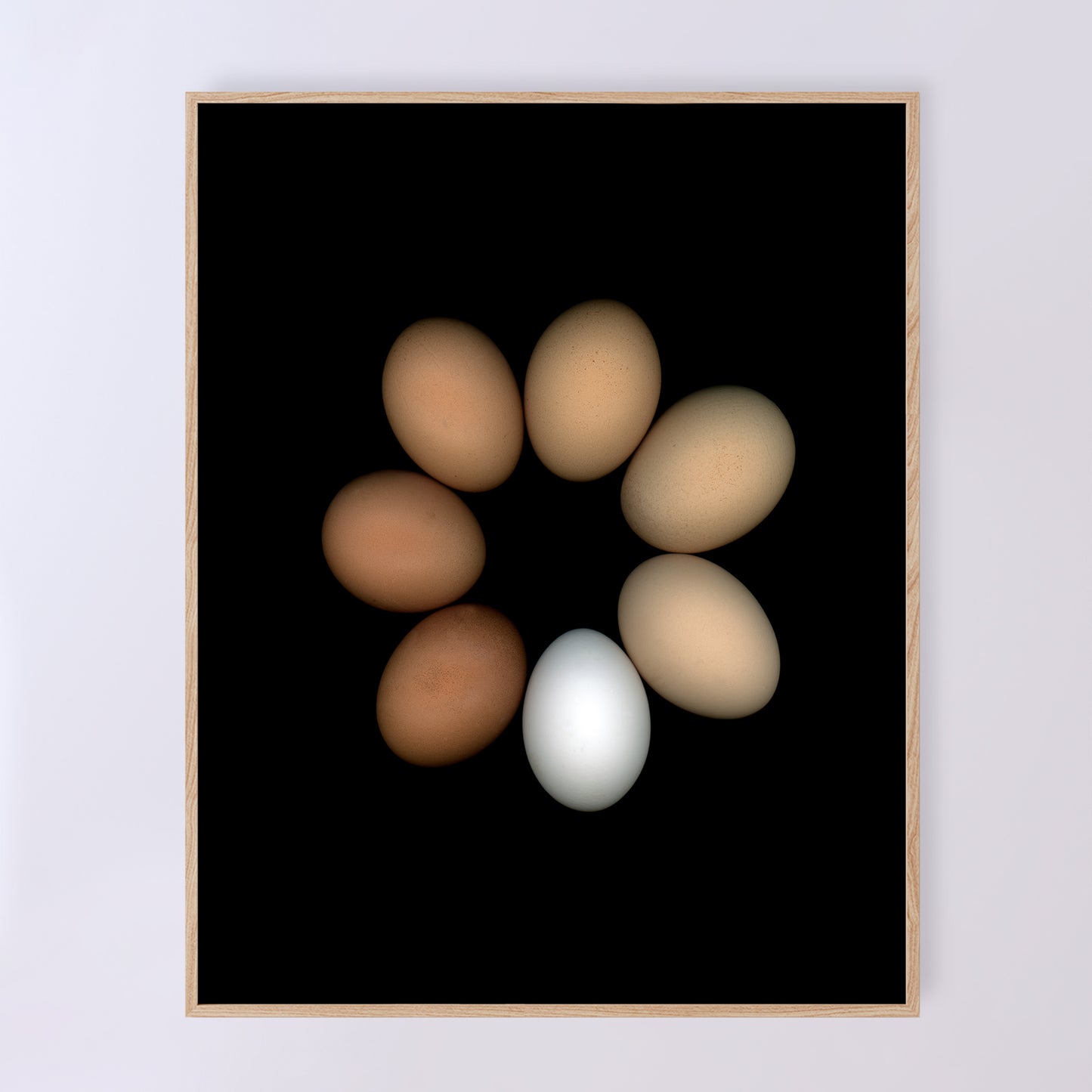 A circle of chicken eggs in an array of colours of pure white to deep brown and muted beige on a black background, 11x14 inches prints, OE-351-2, by CarmenGrenier.com