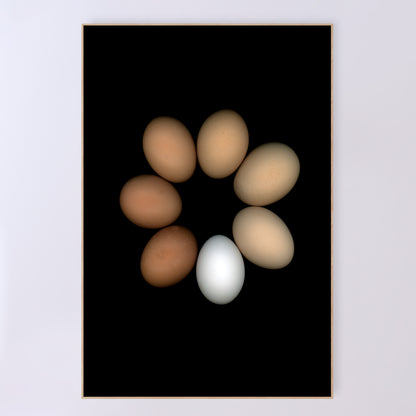 A circle of chicken eggs in an array of colours of pure white to deep brown and muted beige on a black background, 24x36 inches prints, OE-351-4, by CarmenGrenier.com