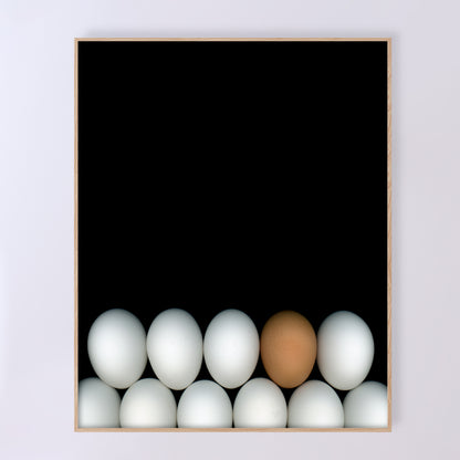 Two rows of white chicken eggs with one brown egg  on a black background. Open edition 18x20 inches print by Carmen Grenier. OE-354-3