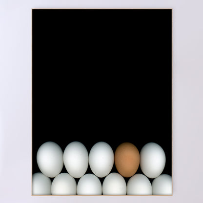 Egg | All set? | Open Edition Prints