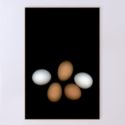 PLayfull display of 5 chicken eggs, three brown and two white on a black background.  356-4 Open edition print 24x36 inches by Carmen Grenier.