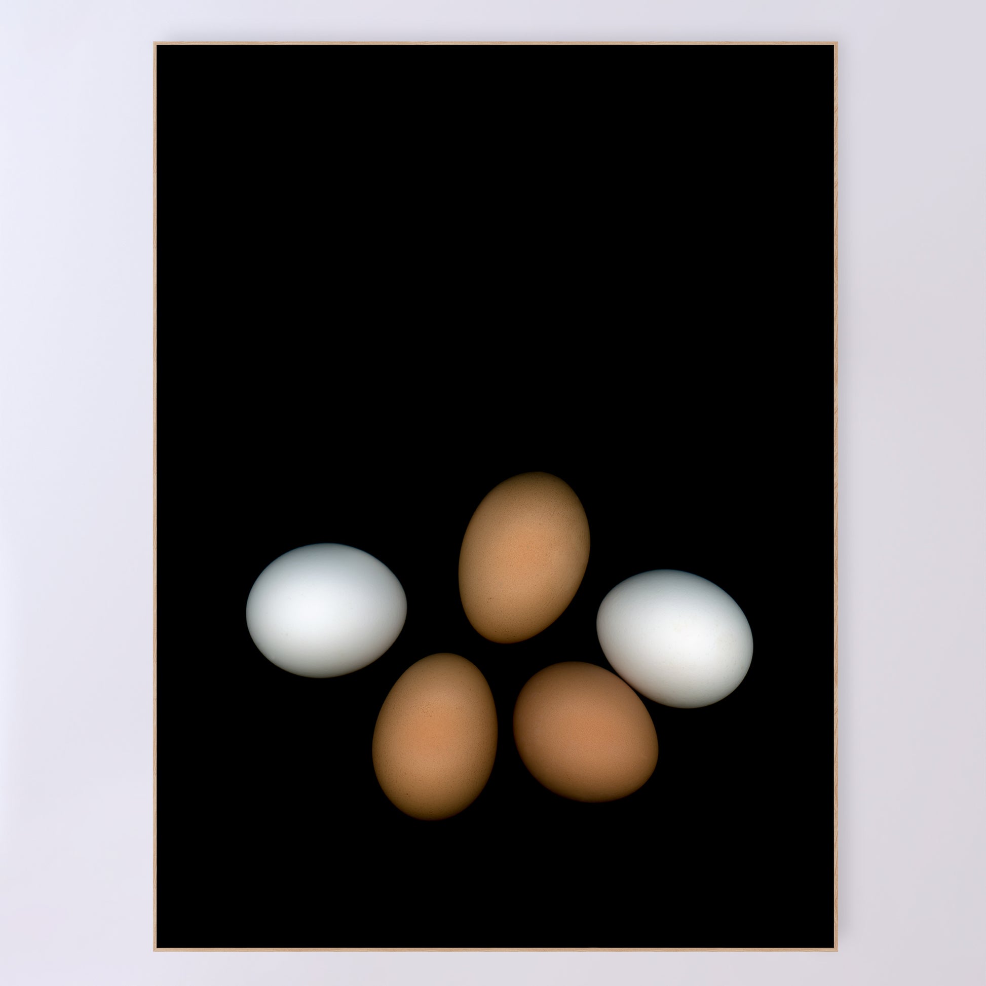 PLayfull display of 5 chicken eggs, three brown and two white on a black background.  356-5 Open edition print 36x48 inches by Carmen Grenier.