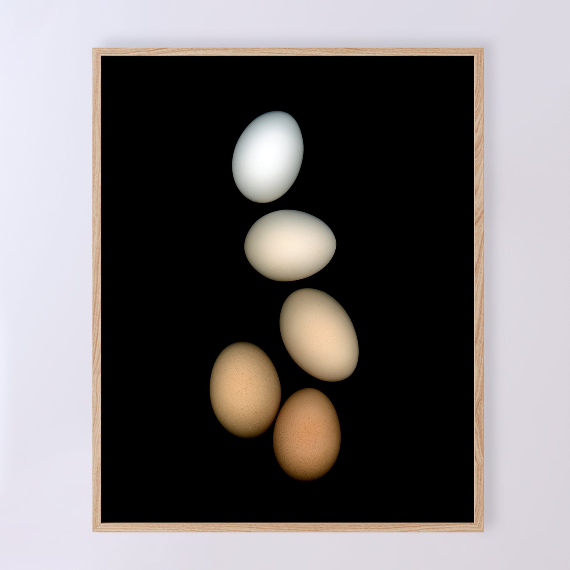 PLayfull display of 5 chicken eggs, from white to brown on a black background.  357-1 Open edition print Lets gather together, 8x10 inches by Carmen Grenier.