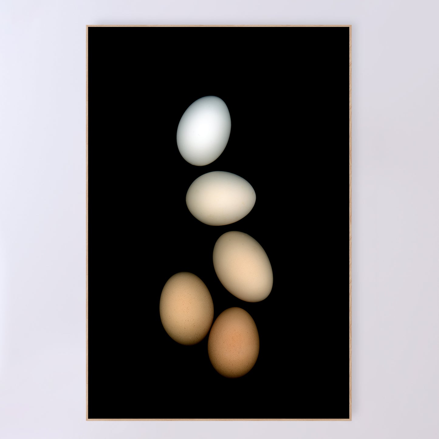 PLayfull display of 5 chicken eggs, from white to brown on a black background.  357-4 Open edition print Lets gather together, 24x36 inches by Carmen Grenier.