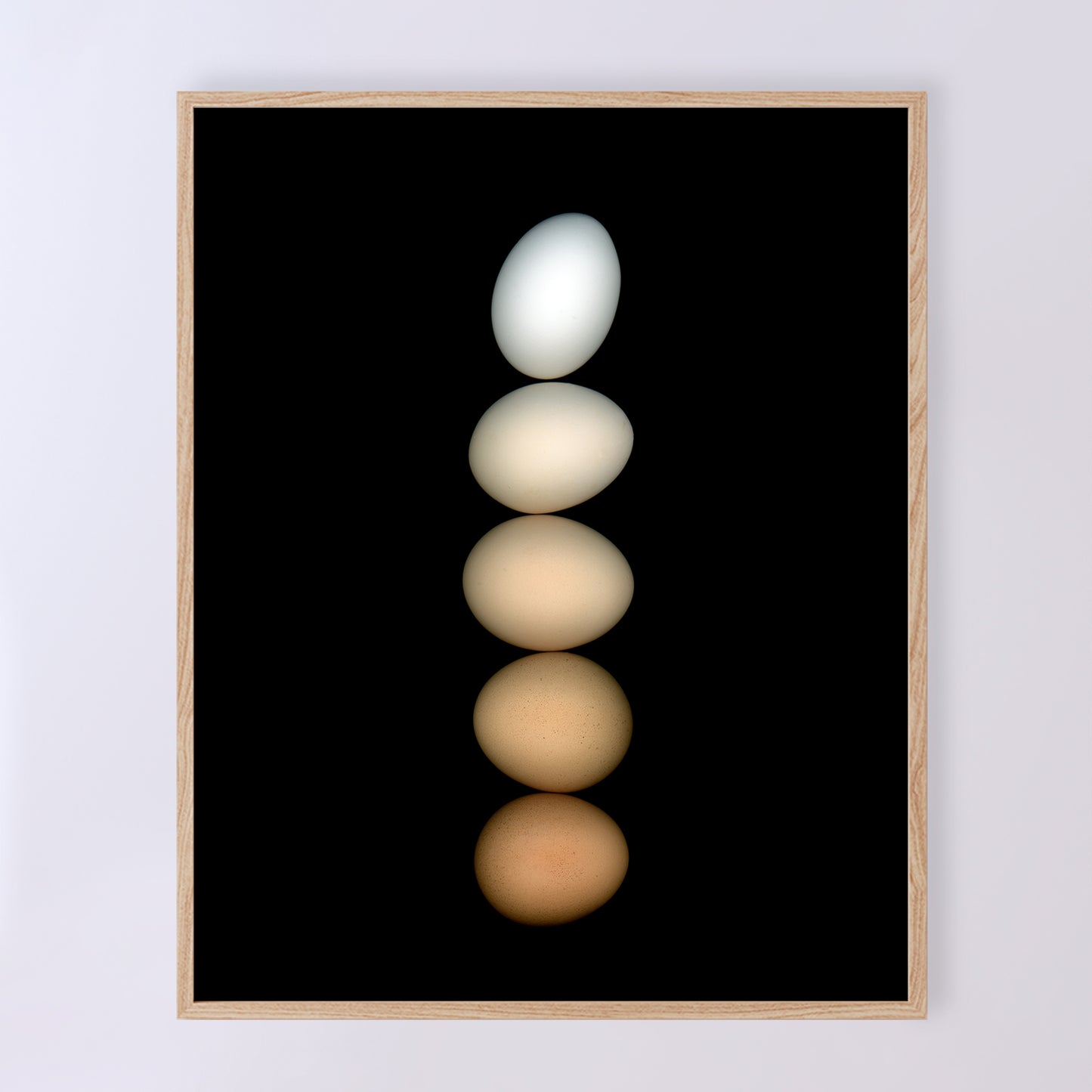 Five chicken eggs, ranging in color from white to deep brown and muted beige, are balanced on a black background, hence the name Équilibre for this open-edition fine art print. OE-358-1, 8x10 inches. Scanography by Carmen Grenier.