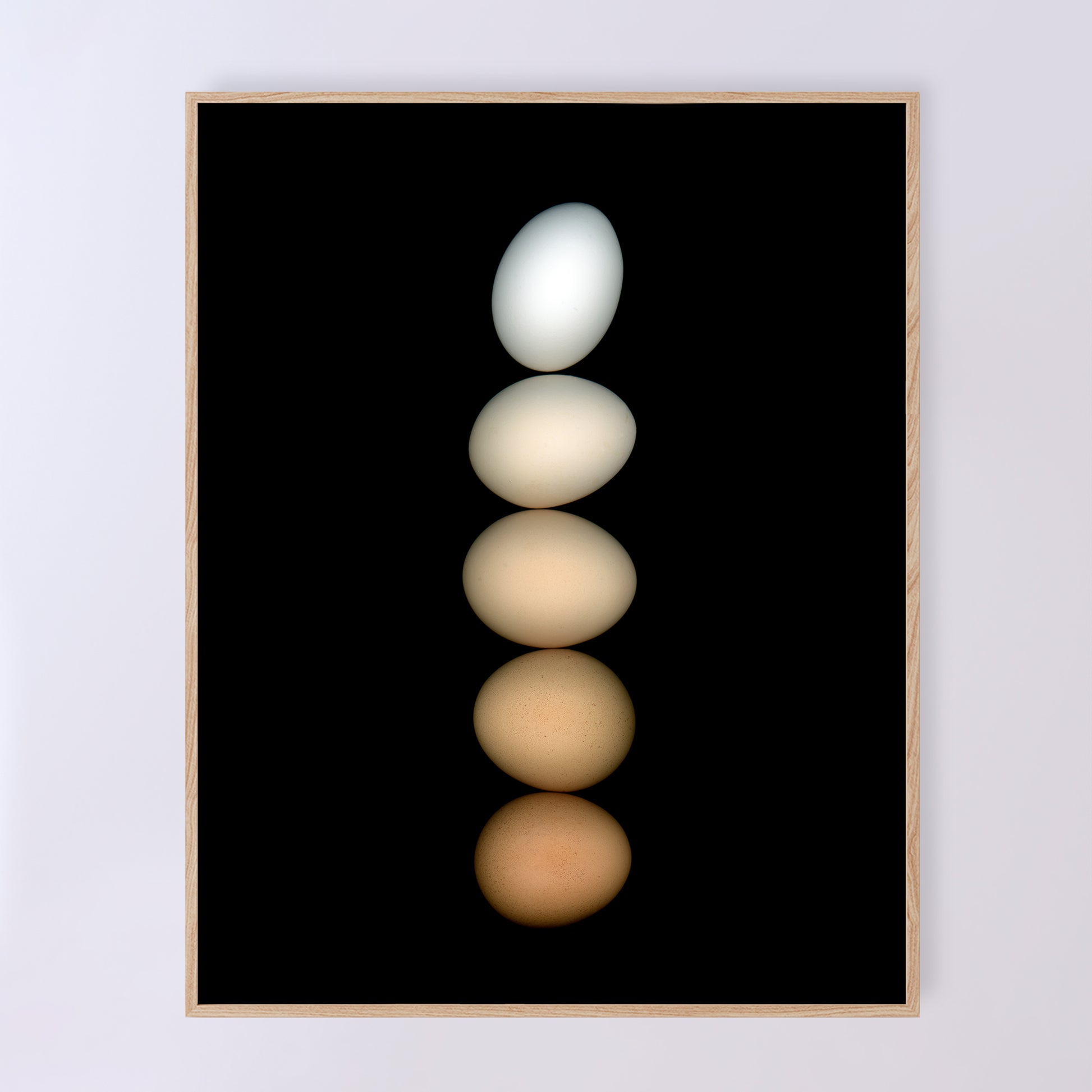 Five chicken eggs, ranging in color from white to deep brown and muted beige, are balanced on a black background, hence the name Équilibre for this open-edition fine art print. OE-358-2, 11x14 inches. Scanography by Carmen Grenier.