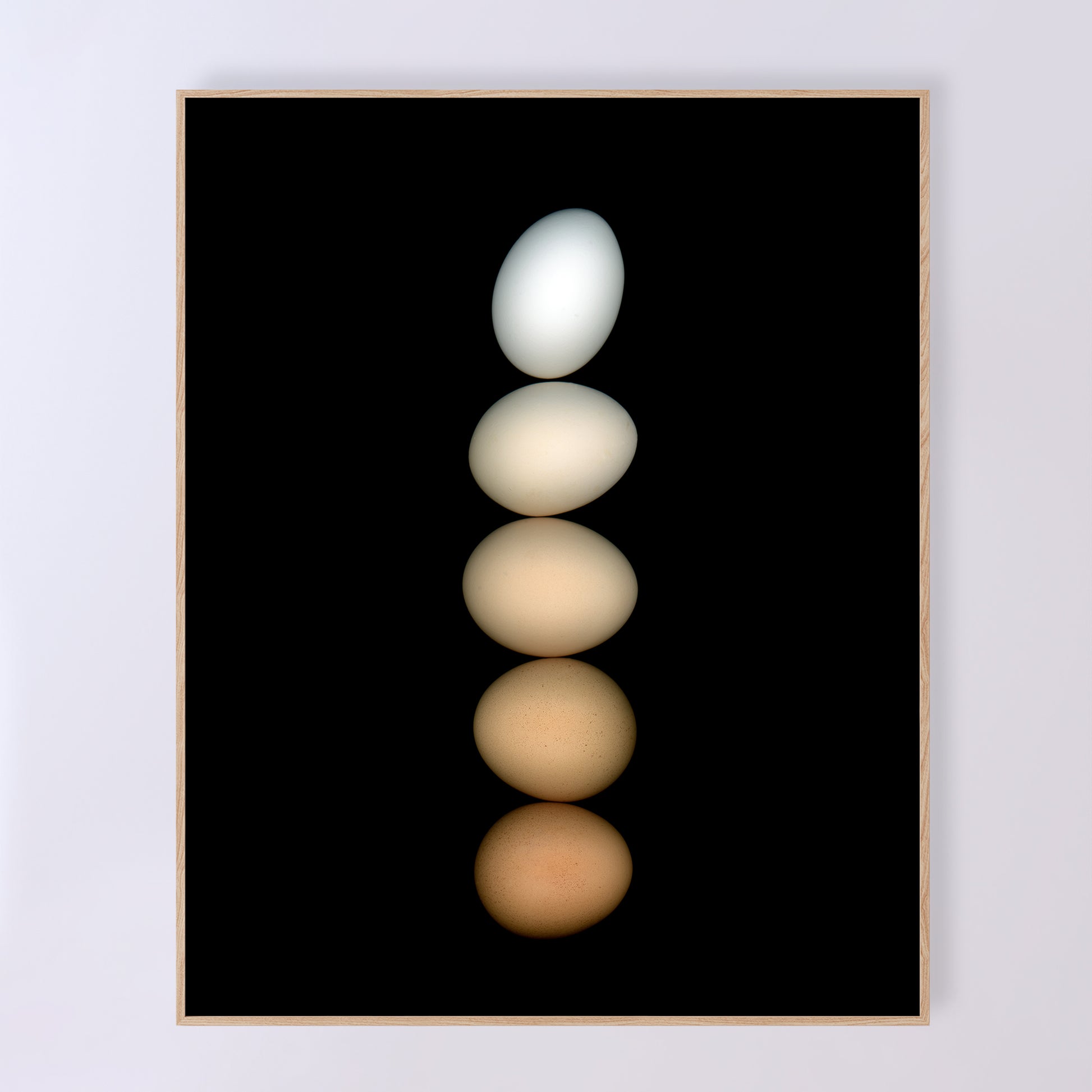 Five chicken eggs, ranging in color from white to deep brown and muted beige, are balanced on a black background, hence the name Équilibre for this open-edition fine art print. OE-358-3, 16x20 inches. Scanography by Carmen Grenier.