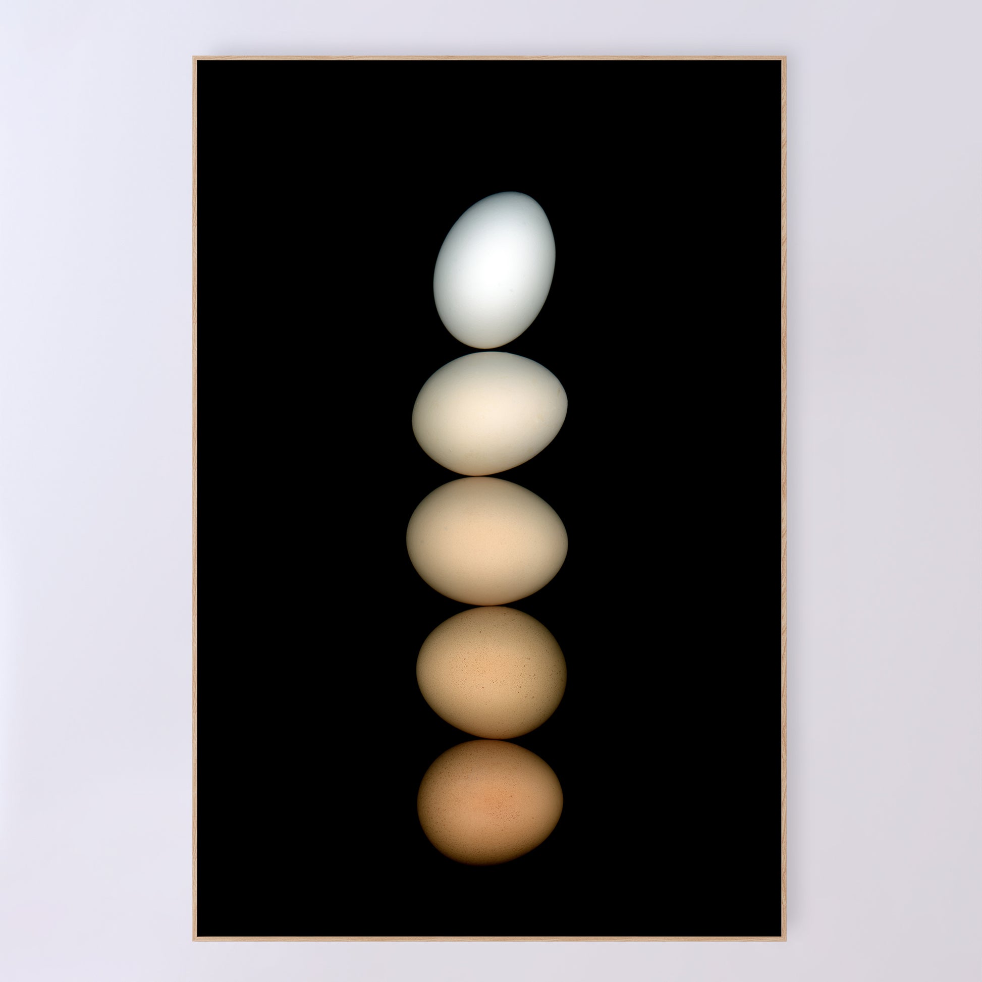 Five chicken eggs, ranging in color from white to deep brown and muted beige, are balanced on a black background, hence the name Équilibre for this open-edition fine art print. OE-358-4, 24x36 inches. Scanography by Carmen Grenier.